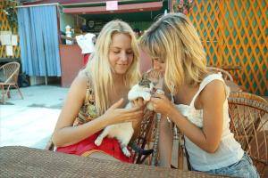 Original 1280 px/ 854 px