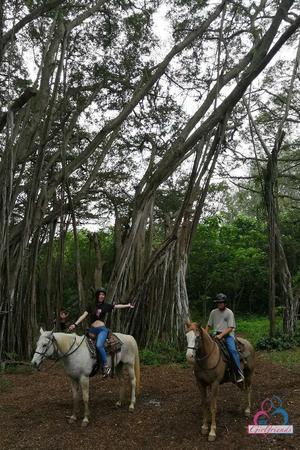 Original 720 px/ 1080 px