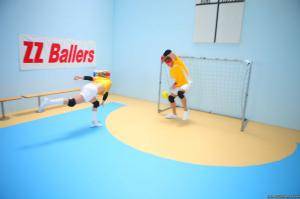 Original 2495 px/ 1663 px