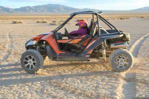 Original 2495 px/ 1663 px