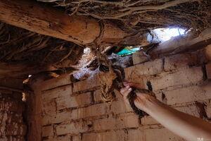 Original 6000 px/ 4000 px