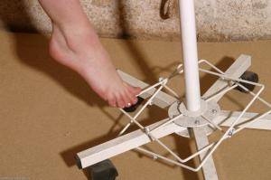 Original 1536 px/ 1020 px