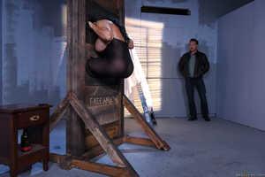 Original 2491 px/ 1663 px