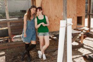 Original 1280 px/ 854 px