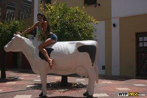 Original 1600 px/ 1067 px