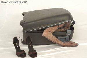 Original 800 px/ 531 px