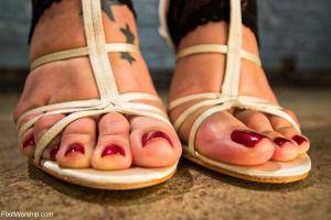 Original 1200 px/ 800 px