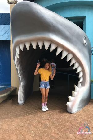 Original 2000 px/ 3000 px