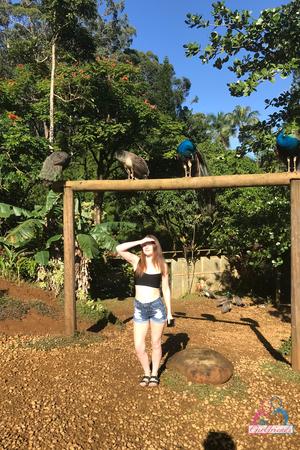 Original 2000 px/ 3000 px