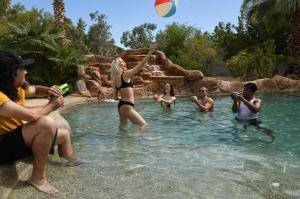 Original 2495 px/ 1663 px