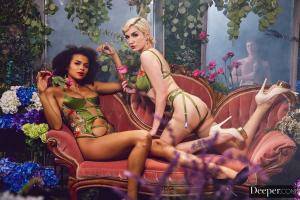 Original 2999 px/ 2000 px