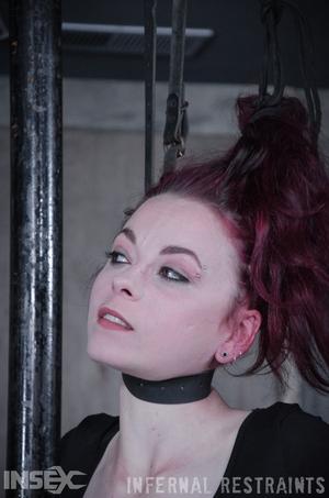 Original 795 px/ 1200 px