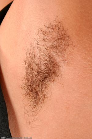 Original 682 px/ 1024 px