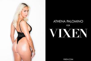 Original 2984 px/ 2000 px