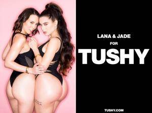 Original 2667 px/ 2000 px