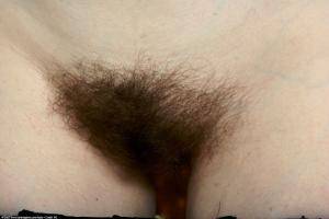 Original 1536 px/ 1024 px