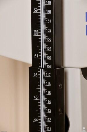 Original 1993 px/ 3000 px