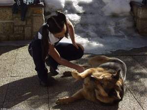 Original 1600 px/ 1200 px