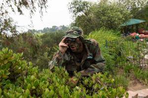 Original 2499 px/ 1663 px