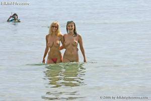 Original 1000 px/ 668 px