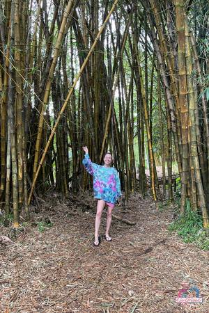 Original 2000 px/ 3000 px