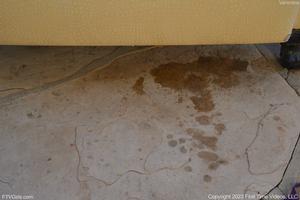 Original 4928 px/ 3280 px