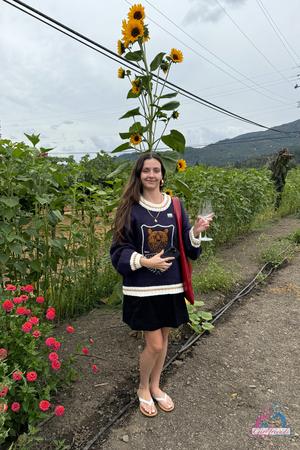 Original 2000 px/ 3000 px