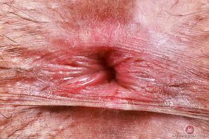 Original 5000 px/ 3332 px