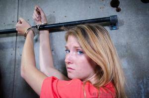 Original 1200 px/ 795 px