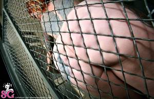 Original 1000 px/ 645 px