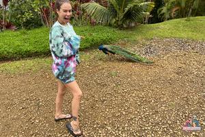 Original 3000 px/ 2000 px