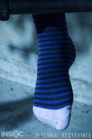 Original 795 px/ 1200 px