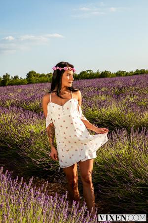 Original 2000 px/ 3000 px