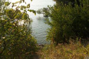 Original 1920 px/ 1280 px