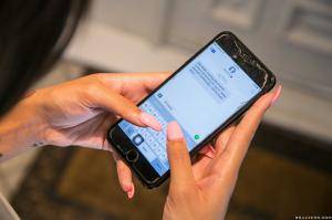 Original 2495 px/ 1663 px