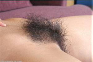 Original 1024 px/ 683 px