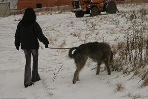 Original 1536 px/ 1024 px