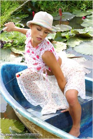 Original 800 px/ 1200 px