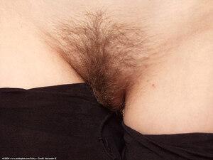 Original 1024 px/ 768 px