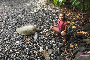 Original 3000 px/ 2000 px