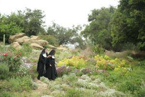 Original 1280 px/ 854 px