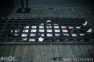 Original 1200 px/ 795 px