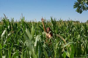 Original 2700 px/ 1800 px