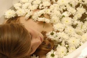 Original 2500 px/ 1662 px