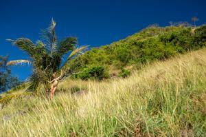 Original 2048 px/ 1365 px