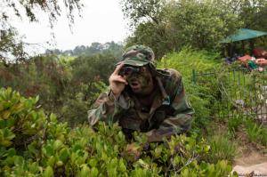 Original 2499 px/ 1663 px