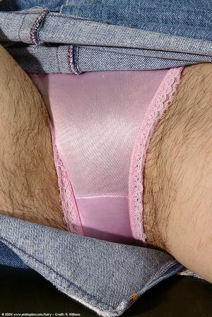 Original 684 px/ 1024 px