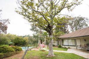 Original 2499 px/ 1663 px