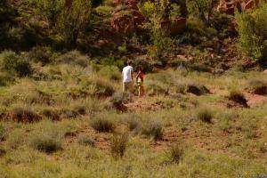 Original 2492 px/ 1663 px