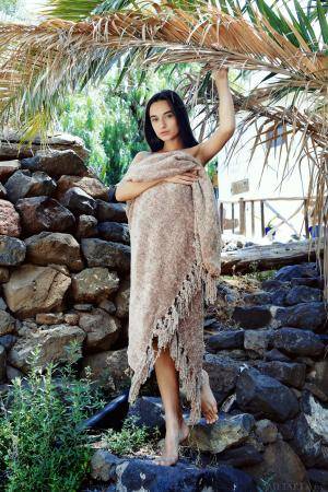 Original 1365 px/ 2048 px